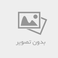 تشک طبی فنری میفا